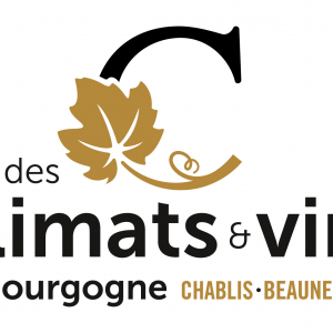 Logo GROUPEMEMT D'EMPLOYEURS CITE