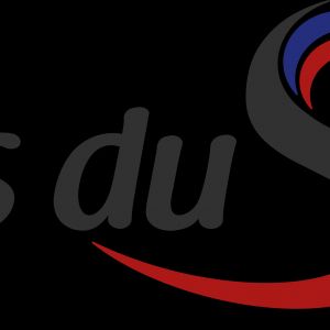 Logo Association Portes du Soleil Territoire d'Evénements