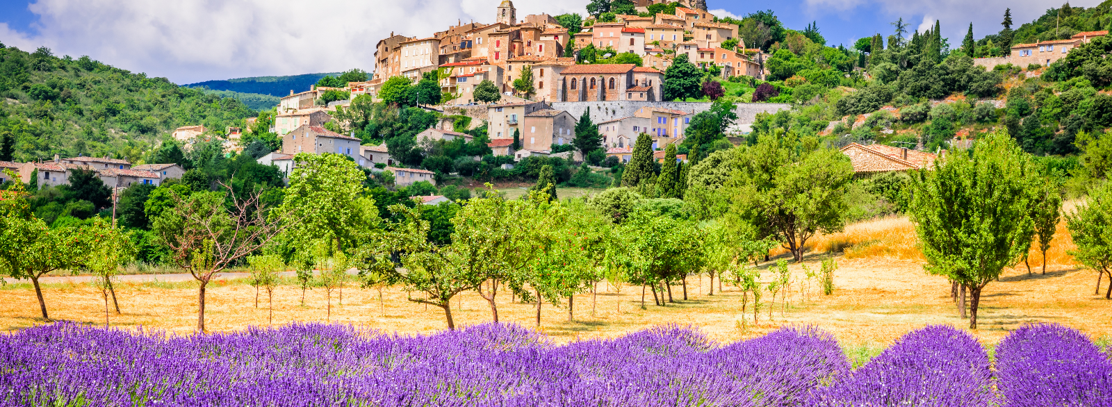Attractivité et territoires