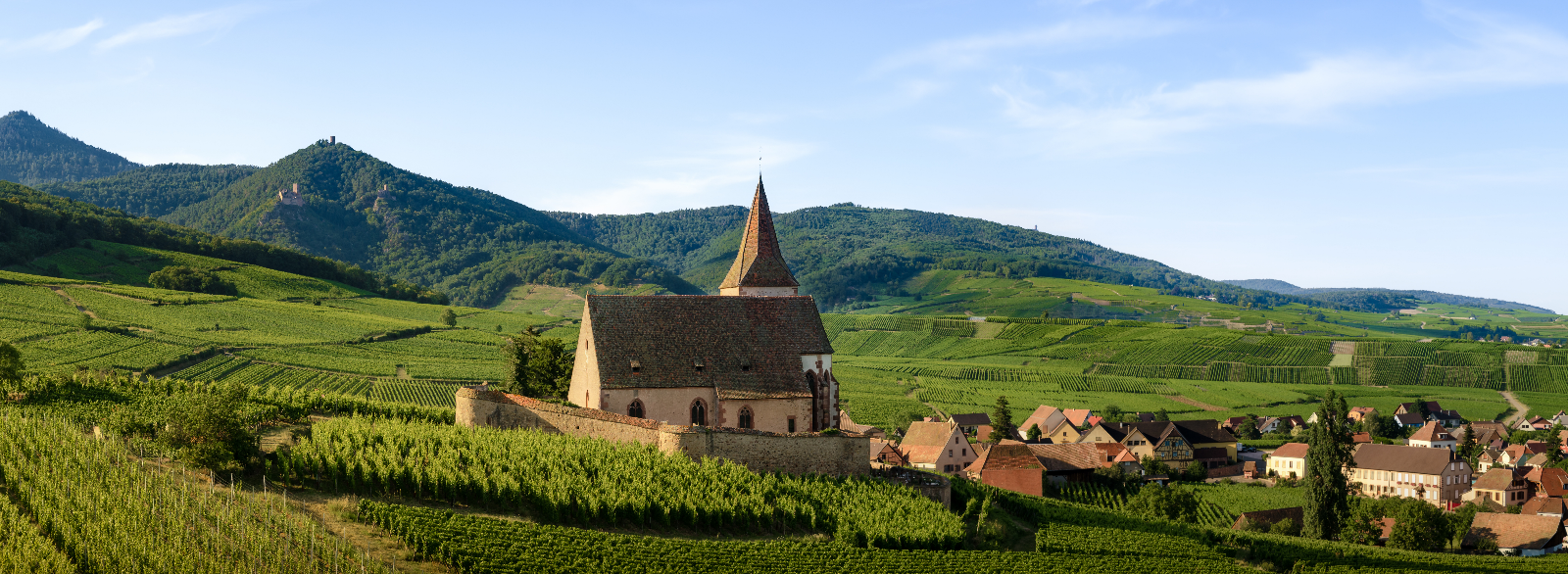 Œnotourisme, une filière en plein développement