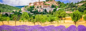 Stratégies territoriales