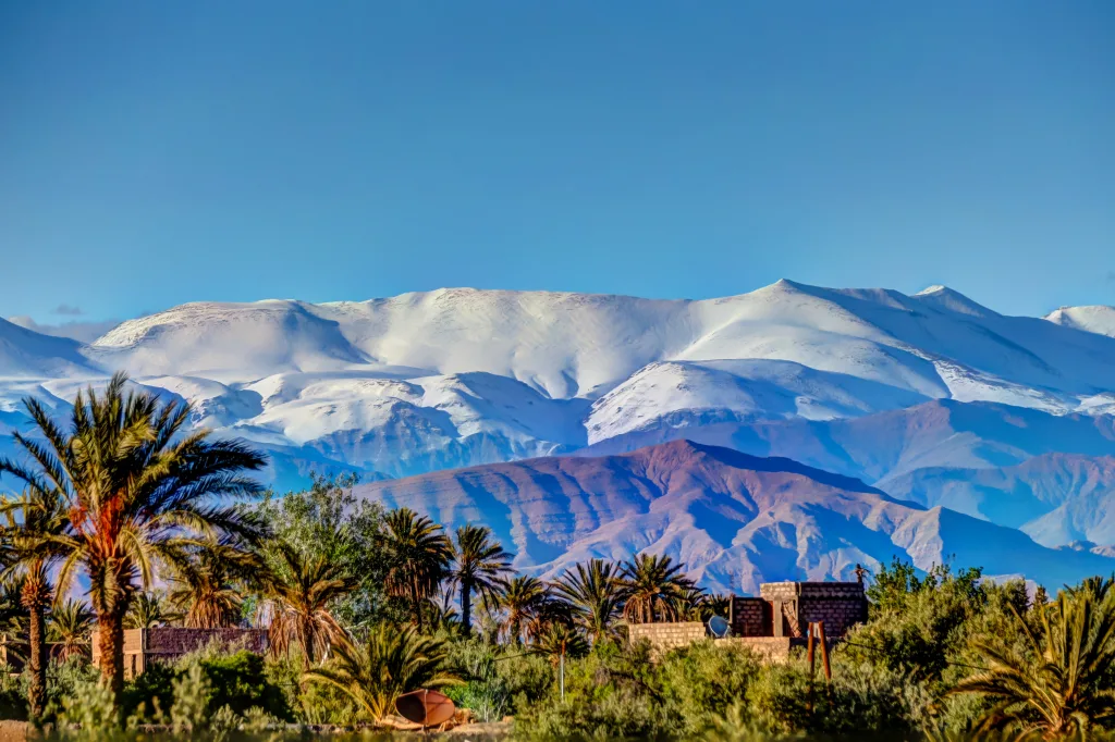 MIEUX VENDRE - Maroc