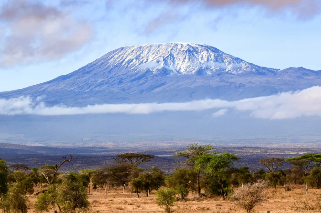 MIEUX VENDRE - Tanzanie