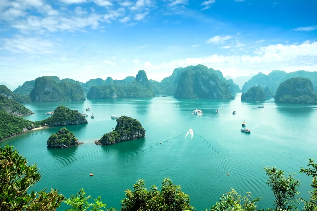 MIEUX VENDRE - Vietnam