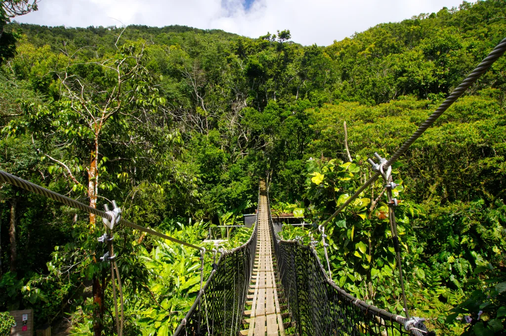 MIEUX VENDRE – Guadeloupe