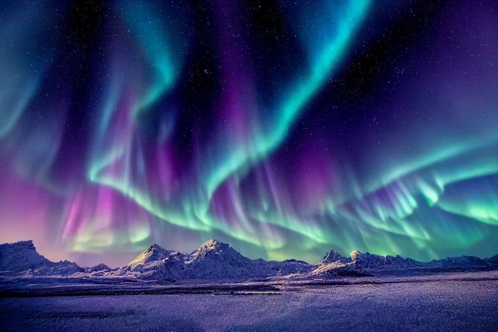 MIEUX VENDRE - Norvège