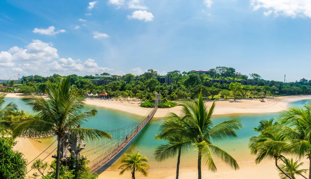 MIEUX VENDRE - Singapour