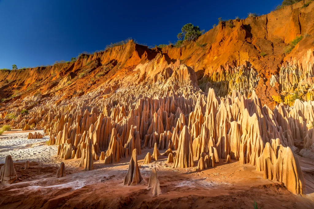 MIEUX VENDRE - Madagascar