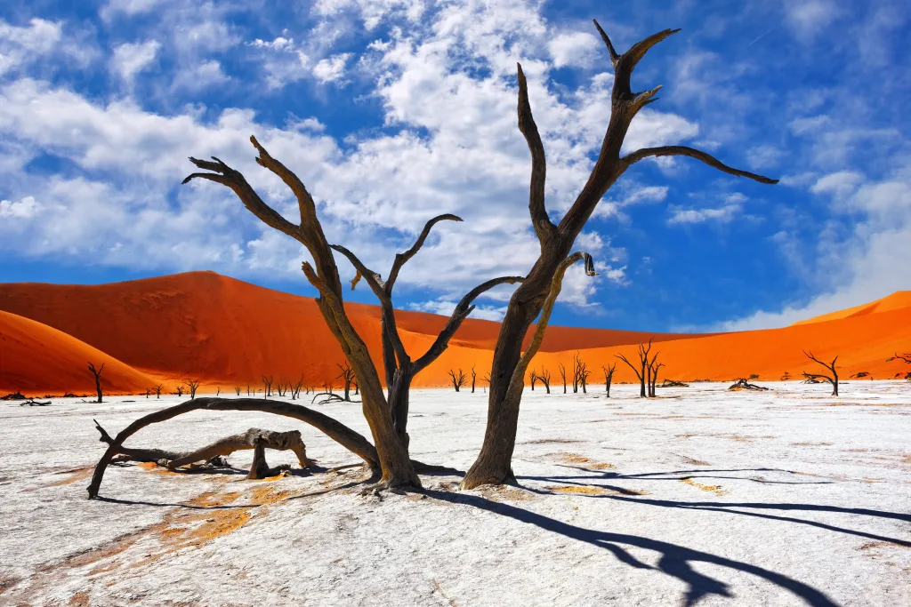 MIEUX VENDRE - Namibie